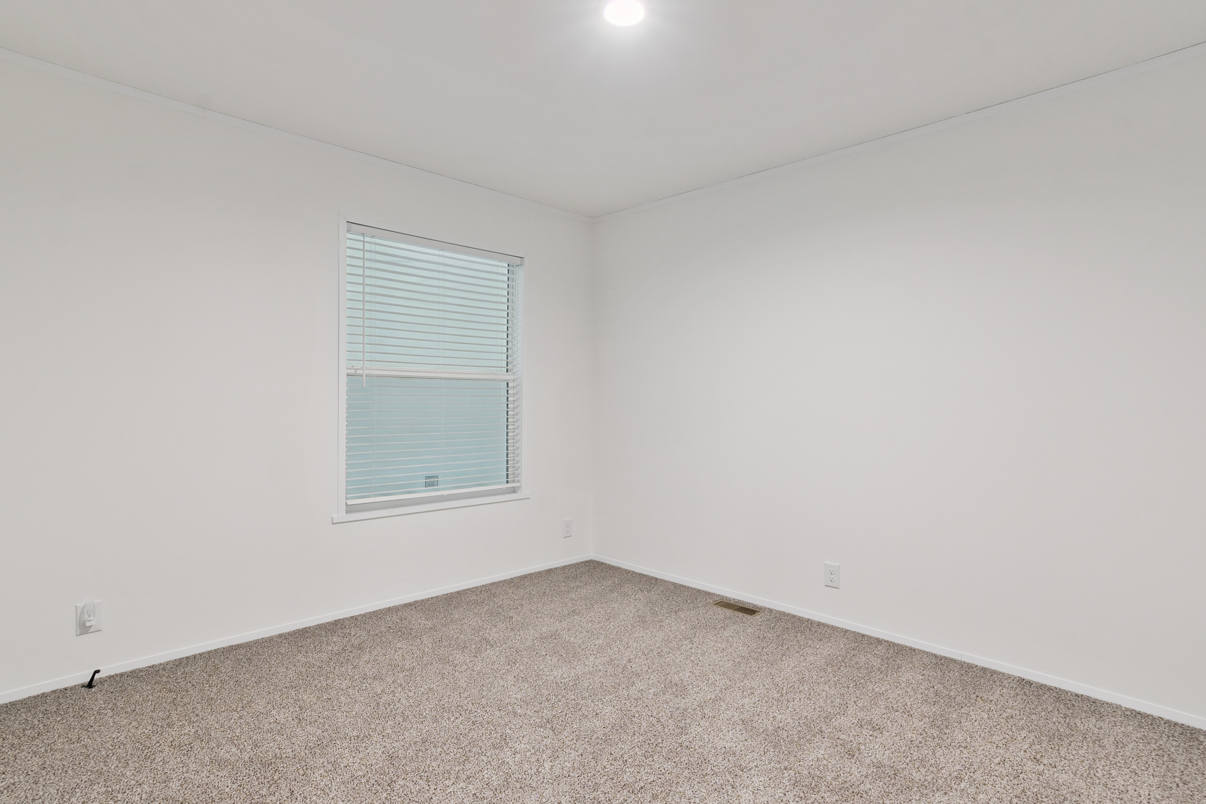 Click to enlarge Brighton image 10
